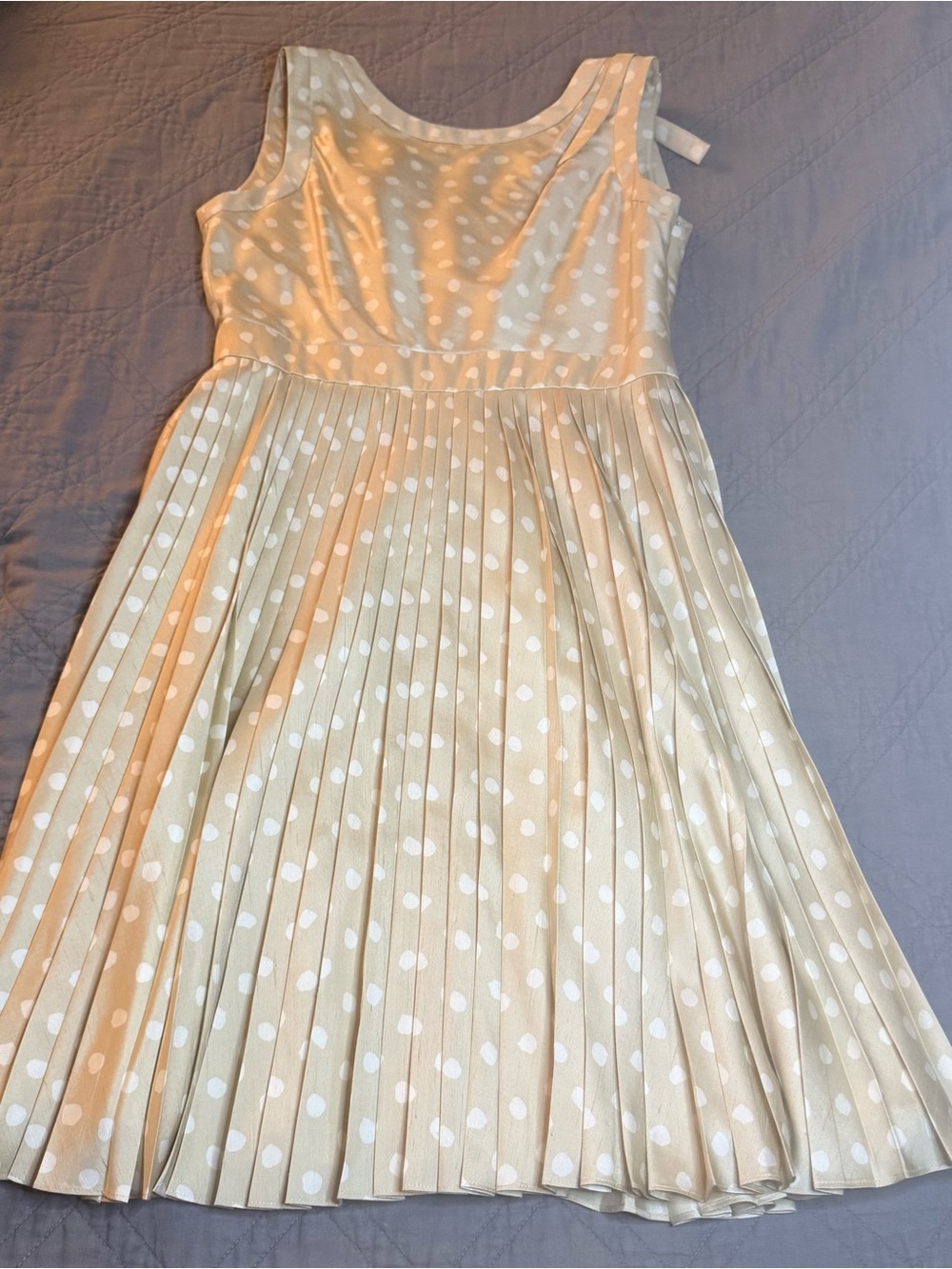 NWOT Kate Spade Melody Silk Pleated Polka Dot Dress Size 12